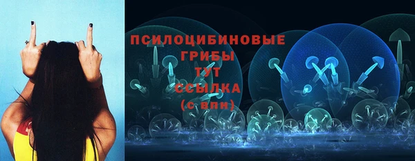 крисы Вяземский