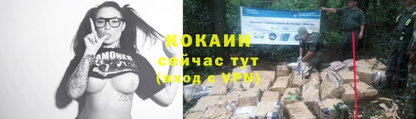 сатива Вязьма
