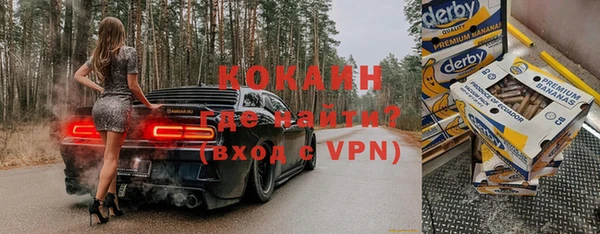 ГАЛЛЮЦИНОГЕННЫЕ ГРИБЫ Горняк
