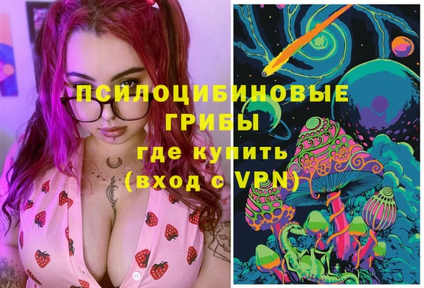 сатива Вязьма