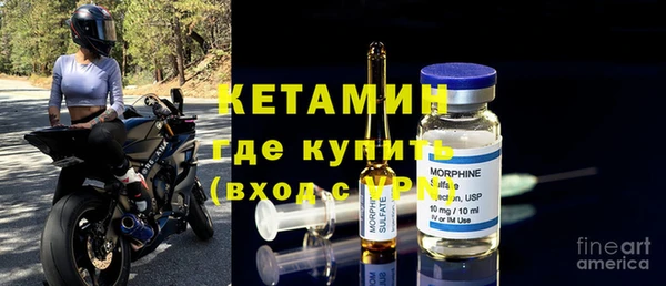 сатива Вязьма