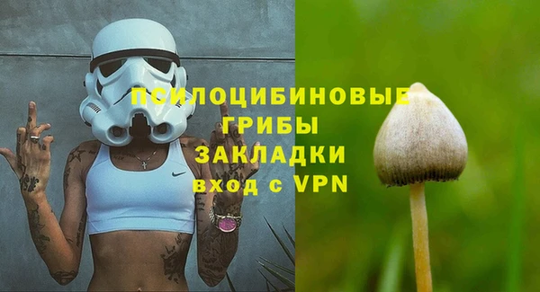 крисы Вяземский