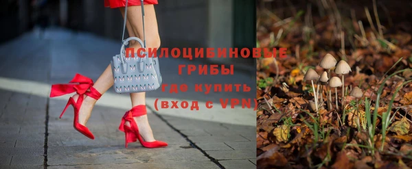 сатива Вязьма